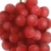 Thumbnail of related posts 075